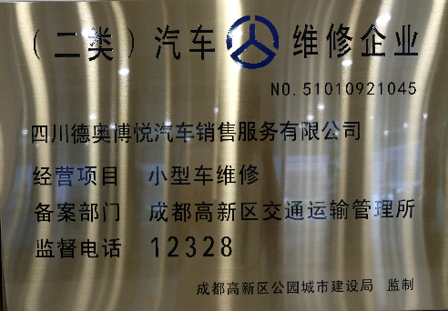 成都豪车专修店