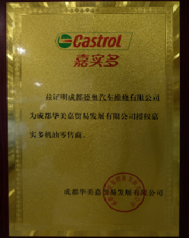 成都豪车专修店